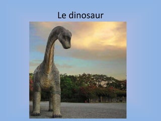 Le dinosaur