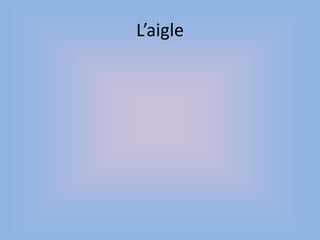 L’aigle