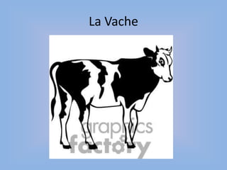 La Vache