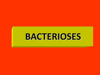 BACTERIOSES

 