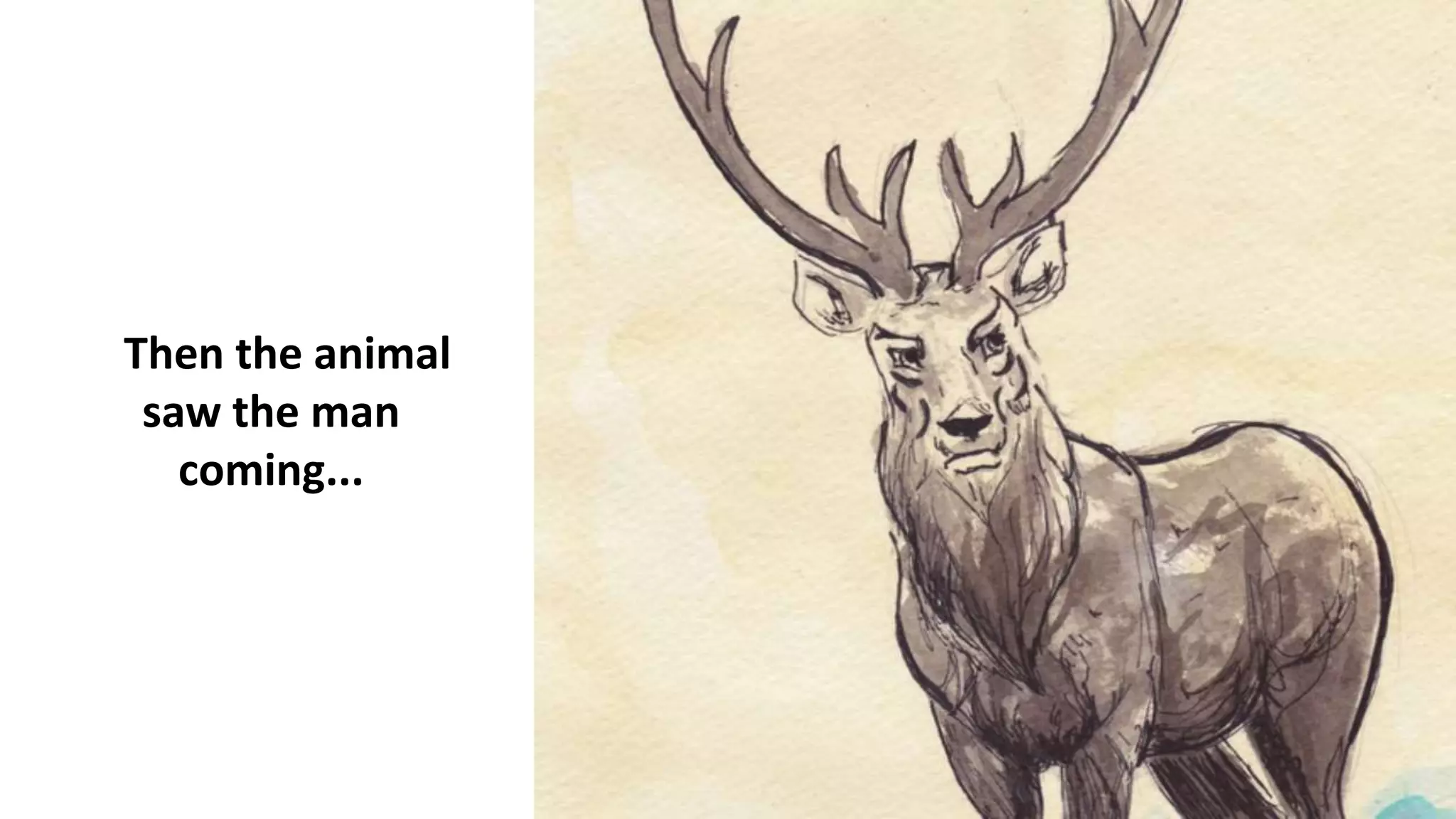 Then the animal
saw the man
coming...