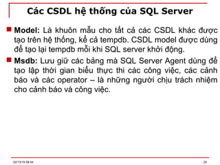 Các CSDL hệ thống của SQL Server
 Model: Là khuôn mẫu cho tất cả các CSDL khác được
tạo trên hệ thống, kể cả tempdb. CSDL model được dùng
để tạo lại tempdb mỗi khi SQL server khởi động.
 Msdb: Lưu giữ các bảng mà SQL Server Agent dùng để
tạo lập thời gian biểu thực thi các công việc, các cảnh
báo và các operator – là những người chịu trách nhiệm
cho cảnh báo và công việc.
02/13/19 08:44 25
 