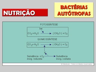 BACTÉRIAS
NUTRIÇÃO   AUTÓTROFAS
 