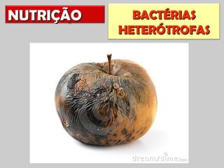 NUTRIÇÃO     BACTÉRIAS
           HETERÓTROFAS
 