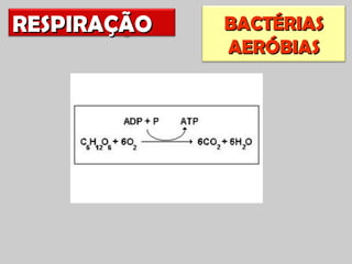 RESPIRAÇÃO   BACTÉRIAS
             AERÓBIAS
 