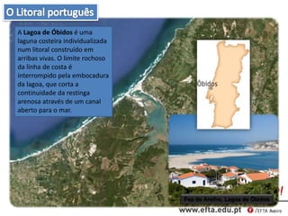 A Lagoa de Óbidos é uma
laguna costeira individualizada
num litoral construído em
arribas vivas. O limite rochoso
da linha de costa é
interrompido pela embocadura
da lagoa, que corta a
continuidade da restinga
arenosa através de um canal
aberto para o mar.
Foz do Arelho, Lagoa de Óbidos
 