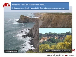 Costa Vicentina Arriba fóssil da Costa da Caparica
Arriba viva – está em contacto com o mar.
Arriba morta ou fóssil – quando já não está em contacto com o mar.
 