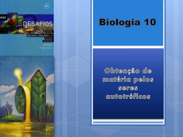 2    Nuno Correia 11/12 