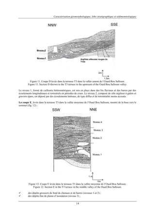Caractérisation géomorphologique, litho stratigraphique et sédimenntologique
14
Figure 11. Coupe D levée dans la terrasse T3 dans la vallée amont de l’Oued Bou Salloum.
Figure 11. Section D thrown in the T3 terrace in the upstream of the Oued Bou Salloum valley.
Le niveau 1, formé de cailloutis hétérométriques, est mis en place dans des lits fluviaux et des barres par des
écoulements longitudinaux et torrentiels en périodes de crues. Le niveau 2, composé de silts argileux à galets et
graviers épars, est déposé par des écoulements latéraux, de type diffus et de torrentialité moins accusée.
La coupe E, levée dans la terrasse T3 dans la vallée moyenne de l’Oued Bou Salloum, montre de la base vers le
sommet (fig. 12) :
Figure 12. Coupe E levée dans la terrasse T3 dans la vallée moyenne de l’Oued Bou Salloum.
Figure 12. Section E in the T3 terrace in the middle valley of the Oued Bou Salloum.
 des dépôts grossiers de fond de chenaux et de barres (niveaux 1 et 2) ;
 des dépôts fins de plaine d’inondation (niveau 3) ;
SSENNW
Argilites silteuses rouges du
Trias
Niveau2
Niveau1
2m
1.5m
SSW NNE
Niveau 1
Niveau 2
Niveau 3
Niveau 4
1 m
15m
 