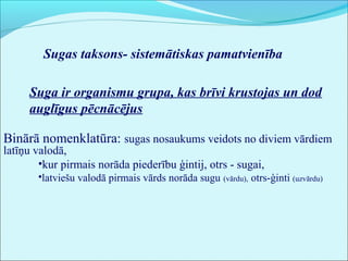 Sugas taksons- sistemātiskas pamatvienība 
Suga ir organismu grupa, kas brīvi krustojas un dod 
auglīgus pēcnācējus 
Binārā nomenklatūra: sugas nosaukums veidots no diviem vārdiem 
latīņu valodā, 
•kur pirmais norāda piederību ģintij, otrs - sugai, 
•latviešu valodā pirmais vārds norāda sugu (vārdu), otrs-ģinti (uzvārdu) 
 