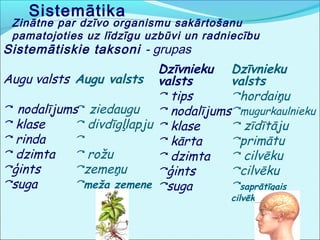 Sistemātika 
Zinātne par dzīvo organismu sakārtošanu 
pamatojoties uz līdzīgu uzbūvi un radniecību 
Sistemātiskie taksoni - grupas 
Dzīvnieku 
valsts 
⃕ tips 
⃕ nodalījums 
⃕ klase 
⃕ kārta 
⃕ dzimta 
⃕ģints 
⃕suga 
Augu valsts 
⃕ nodalījums 
⃕ klase 
⃕ rinda 
⃕ dzimta 
⃕ģints 
⃕suga 
Augu valsts 
⃕ ziedaugu 
⃕ divdīgļlapju 
⃕ 
⃕ rožu 
⃕zemeņu 
⃕meža zemene 
Dzīvnieku 
valsts 
⃕hordaiņu 
⃕mugurkaulnieku 
⃕ zīdītāju 
⃕primātu 
⃕ cilvēku 
⃕cilvēku 
⃕saprātīgais 
cilvēks 
 