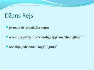 Džons Rejs 
pirmais sistematizēja augus 
izveidoja jēdzienus “viendīgļlapji” un “divdīgļlapji” 
nodalīja jēdzienus “suga”, “ģints” 
 
