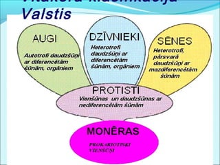 Vitakera klasifikācija 
Valstis 
 