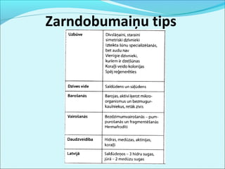 Zarndobumaiņu tips 
 