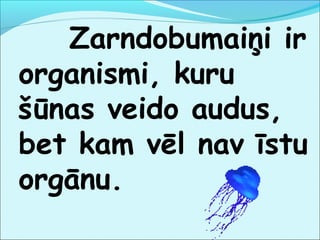 Zarndobumaiņi ir 
organismi, kuru 
šūnas veido audus, 
bet kam vēl nav īstu 
orgānu. 
 
