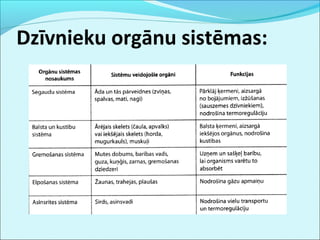 Dzīvnieku orgānu sistēmas: 
 