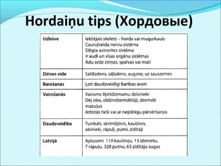 Hordaiņu tips (Хордовые) 
 