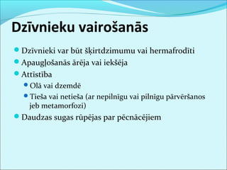 Dzīvnieku vairošanās 
Dzīvnieki var būt šķirtdzimumu vai hermafrodīti 
Apaugļošanās ārēja vai iekšēja 
Attīstība 
Olā vai dzemdē 
Tieša vai netieša (ar nepilnīgu vai pilnīgu pārvēršanos 
jeb metamorfozi) 
Daudzas sugas rūpējas par pēcnācējiem 
 