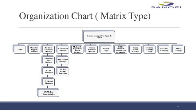 Sanofi Organizational Chart