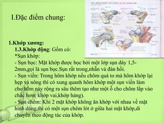 I.Đặc điểm chung:

1.Khớp xương:
1.3.Khớp động: Gồm có:
*Sụn khớp:
- Sụn bọc: Mặt khớp được bọc bởi một lớp sụn dày 1,52mm,gọi là sụn bọc.Sụn rất trong,nhẵn và đàn hồi.
- Sụn viền: Trong hõm khớp nếu chõm quá to mà hõm khớp lại
hẹp và nông thì có xung quanh hõm khớp một sụn viền làm
cho hõm này rộng ra sâu thêm tạo như một ỗ cho chõm lắp vào
chắc hơn( khớp vai,khớp háng).
- Sụn chêm: Khi 2 mặt khớp không ăn khớp với nhau về mặt
hình dáng,thì có một sụn chêm lót ở giữa hai mặt khớp,di
chuyển theo động tác của khớp.

 
