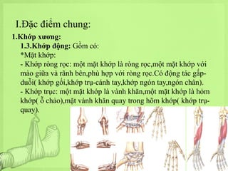 I.Đặc điểm chung:
1.Khớp xương:
1.3.Khớp động: Gồm có:
*Mặt khớp:
- Khớp ròng rọc: một mặt khớp là ròng rọc,một mặt khớp với
mào giữa và rãnh bên,phù hợp với ròng rọc.Có động tác gấpduỗi( khớp gối,khớp trụ-cánh tay,khớp ngón tay,ngón chân).
- Khớp trục: một mặt khớp là vành khăn,một mặt khớp là hỏm
khớp( ỗ chảo),mặt vành khăn quay trong hõm khớp( khớp trụquay).

 
