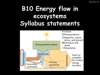 08/09/13
B10 Energy flow inB10 Energy flow in
ecosystemsecosystems
Syllabus statementsSyllabus statements
 