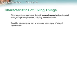 CVA Biology I - B10vrv1013 | PPT
