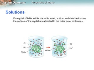 Lesson OverviewLesson Overview Properties of WaterProperties of Water
Solutions
If a crystal of table salt is placed in water, sodium and chloride ions on
the surface of the crystal are attracted to the polar water molecules.
 