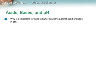 Lesson OverviewLesson Overview Properties of WaterProperties of Water
Acids, Bases, and pH
Why is it important for cells to buffer solutions against rapid changes
in pH?
 