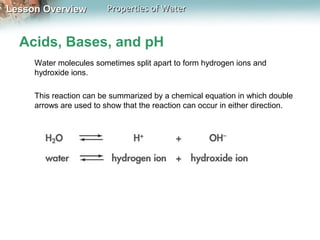 Lesson OverviewLesson Overview Properties of WaterProperties of Water
Acids, Bases, and pH
Water molecules sometimes split apart to form hydrogen ions and
hydroxide ions.
This reaction can be summarized by a chemical equation in which double
arrows are used to show that the reaction can occur in either direction.
 