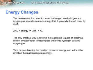 Lesson OverviewLesson Overview Chemical Reactions and EnzymesChemical Reactions and Enzymes
Energy Changes
The reverse reaction, in which water is changed into hydrogen and
oxygen gas, absorbs so much energy that it generally doesn’t occur by
itself.
2H2O + energy  2 H2 + O2
The only practical way to reverse the reaction is to pass an electrical
current through water to decompose water into hydrogen gas and
oxygen gas.
Thus, in one direction the reaction produces energy, and in the other
direction the reaction requires energy.
 