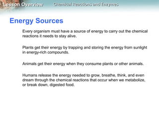 Lesson OverviewLesson Overview Chemical Reactions and EnzymesChemical Reactions and Enzymes
Energy Sources
Every organism must have a source of energy to carry out the chemical
reactions it needs to stay alive.
Plants get their energy by trapping and storing the energy from sunlight
in energy-rich compounds.
Animals get their energy when they consume plants or other animals.
Humans release the energy needed to grow, breathe, think, and even
dream through the chemical reactions that occur when we metabolize,
or break down, digested food.
 