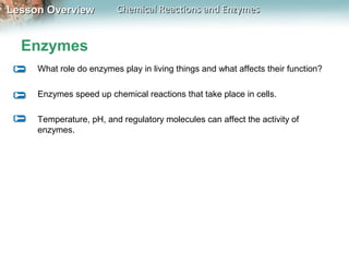 Lesson OverviewLesson Overview Chemical Reactions and EnzymesChemical Reactions and Enzymes
Enzymes
What role do enzymes play in living things and what affects their function?
Enzymes speed up chemical reactions that take place in cells.
Temperature, pH, and regulatory molecules can affect the activity of
enzymes.
 