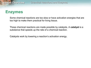 Lesson OverviewLesson Overview Chemical Reactions and EnzymesChemical Reactions and Enzymes
Enzymes
Some chemical reactions are too slow or have activation energies that are
too high to make them practical for living tissue.
These chemical reactions are made possible by catalysts. A catalyst is a
substance that speeds up the rate of a chemical reaction.
Catalysts work by lowering a reaction’s activation energy.
 