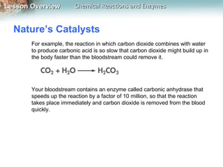 Lesson OverviewLesson Overview Chemical Reactions and EnzymesChemical Reactions and Enzymes
Nature’s Catalysts
For example, the reaction in which carbon dioxide combines with water
to produce carbonic acid is so slow that carbon dioxide might build up in
the body faster than the bloodstream could remove it.
Your bloodstream contains an enzyme called carbonic anhydrase that
speeds up the reaction by a factor of 10 million, so that the reaction
takes place immediately and carbon dioxide is removed from the blood
quickly.
 