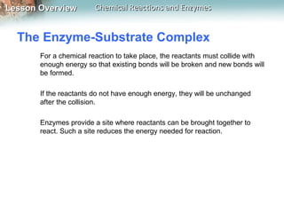 Lesson OverviewLesson Overview Chemical Reactions and EnzymesChemical Reactions and Enzymes
The Enzyme-Substrate Complex
For a chemical reaction to take place, the reactants must collide with
enough energy so that existing bonds will be broken and new bonds will
be formed.
If the reactants do not have enough energy, they will be unchanged
after the collision.
Enzymes provide a site where reactants can be brought together to
react. Such a site reduces the energy needed for reaction.
 