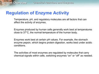 Lesson OverviewLesson Overview Chemical Reactions and EnzymesChemical Reactions and Enzymes
Regulation of Enzyme Activity
Temperature, pH, and regulatory molecules are all factors that can
affect the activity of enzymes.
Enzymes produced by human cells generally work best at temperatures
close to 37°C, the normal temperature of the human body.
Enzymes work best at certain pH values. For example, the stomach
enzyme pepsin, which begins protein digestion, works best under acidic
conditions.
The activities of most enzymes are regulated by molecules that carry
chemical signals within cells, switching enzymes “on” or “off” as needed.
 