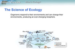 Lesson Overview        What is Ecology?


  The Science of Ecology
       Organisms respond to their environments and can change their
       environments, producing an ever-changing biosphere.
 