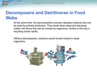 Lesson Overview

Energy Flow in Ecosystems

Decomposers and Detritivores in Food
Webs
At the same time, the decomposition process releases nutrients that can
be used by primary producers. They break down dead and decaying
matter into forms that can be reused by organisms, similar to the way a
recycling center works.
Without decomposers, nutrients would remain locked in dead
organisms.

 
