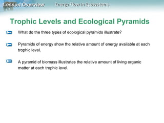 Lesson Overview

Energy Flow in Ecosystems

Trophic Levels and Ecological Pyramids
What do the three types of ecological pyramids illustrate?
Pyramids of energy show the relative amount of energy available at each
trophic level.
A pyramid of biomass illustrates the relative amount of living organic
matter at each trophic level.

 