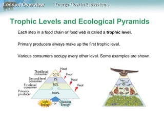 Lesson Overview

Energy Flow in Ecosystems

Trophic Levels and Ecological Pyramids
Each step in a food chain or food web is called a trophic level.
Primary producers always make up the first trophic level.
Various consumers occupy every other level. Some examples are shown.

 