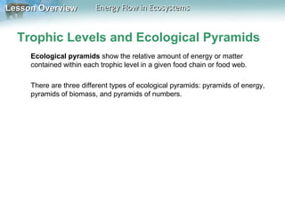 Lesson Overview

Energy Flow in Ecosystems

Trophic Levels and Ecological Pyramids
Ecological pyramids show the relative amount of energy or matter
contained within each trophic level in a given food chain or food web.
There are three different types of ecological pyramids: pyramids of energy,
pyramids of biomass, and pyramids of numbers.

 