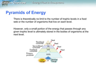 Lesson Overview

Energy Flow in Ecosystems

Pyramids of Energy
There is theoretically no limit to the number of trophic levels in a food
web or the number of organisms that live on each level.
However, only a small portion of the energy that passes through any
given trophic level is ultimately stored in the bodies of organisms at the
next level.

 