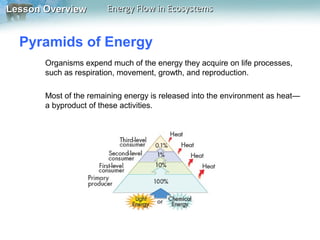 Lesson Overview

Energy Flow in Ecosystems

Pyramids of Energy
Organisms expend much of the energy they acquire on life processes,
such as respiration, movement, growth, and reproduction.
Most of the remaining energy is released into the environment as heat—
a byproduct of these activities.

 