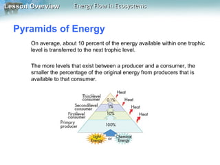 Lesson Overview

Energy Flow in Ecosystems

Pyramids of Energy
On average, about 10 percent of the energy available within one trophic
level is transferred to the next trophic level.
The more levels that exist between a producer and a consumer, the
smaller the percentage of the original energy from producers that is
available to that consumer.

 