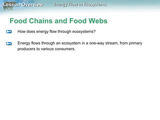 Lesson Overview

Energy Flow in Ecosystems

Food Chains and Food Webs
How does energy flow through ecosystems?
Energy flows through an ecosystem in a one-way stream, from primary
producers to various consumers.

 