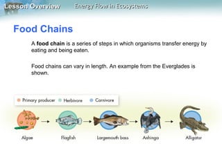 Lesson Overview

Energy Flow in Ecosystems

Food Chains
A food chain is a series of steps in which organisms transfer energy by
eating and being eaten.
Food chains can vary in length. An example from the Everglades is
shown.

 