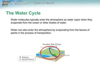 Lesson Overview

Cycles of Matter

The Water Cycle
Water molecules typically enter the atmosphere as water vapor when they
evaporate from the ocean or other bodies of water.
Water can also enter the atmosphere by evaporating from the leaves of
plants in the process of transpiration.

 