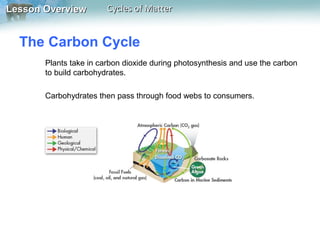 Lesson Overview

Cycles of Matter

The Carbon Cycle
Plants take in carbon dioxide during photosynthesis and use the carbon
to build carbohydrates.
Carbohydrates then pass through food webs to consumers.

 