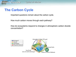 Lesson Overview

Cycles of Matter

The Carbon Cycle
Important questions remain about the carbon cycle.
How much carbon moves through each pathway?
How do ecosystems respond to changes in atmospheric carbon dioxide
concentration?

 